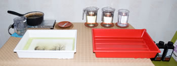 platinum-palladium printing-wet workspace